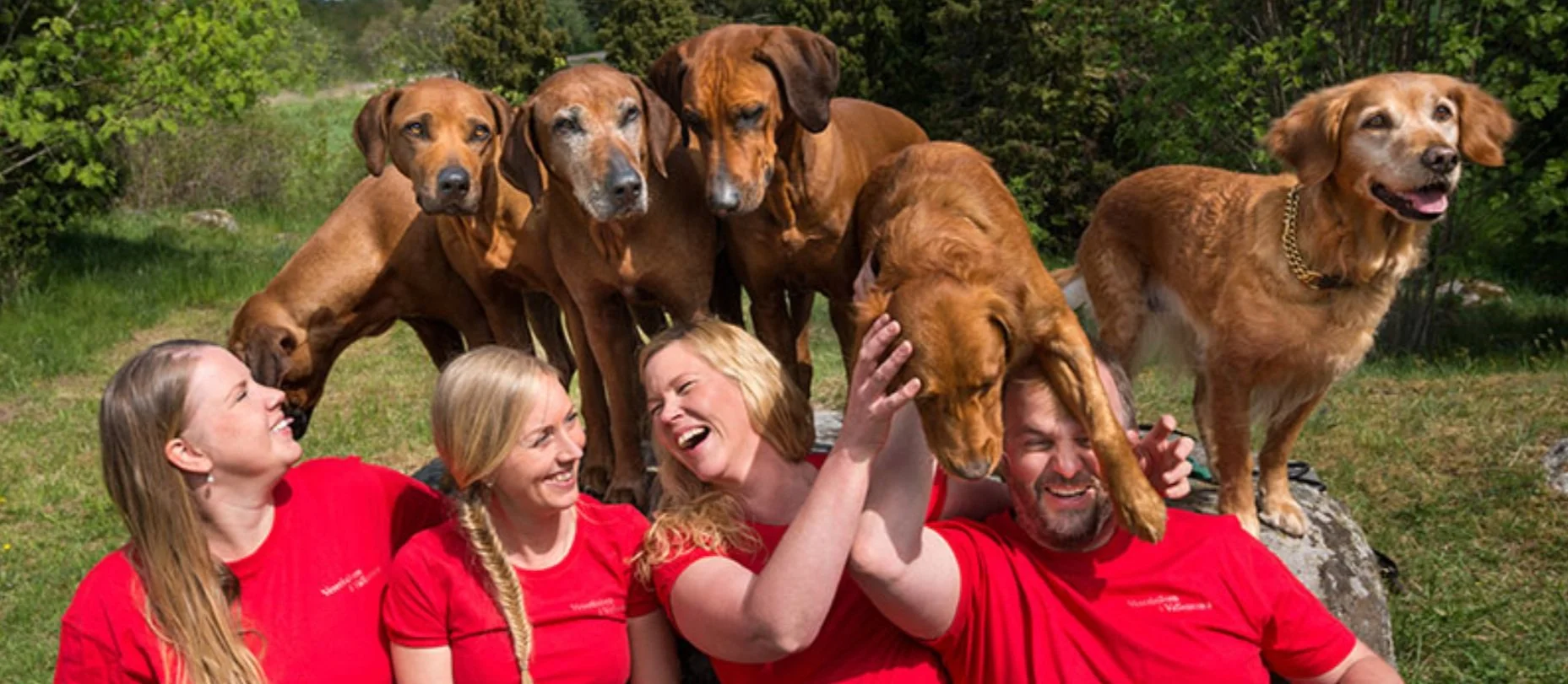 Träffa vår kund: Veterinären i Vallentuna