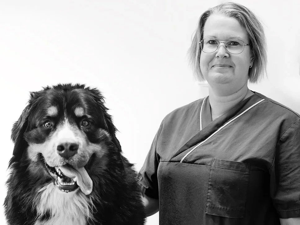 Så löste Vetlanda Djurklinik personalbehovet med rekrytering