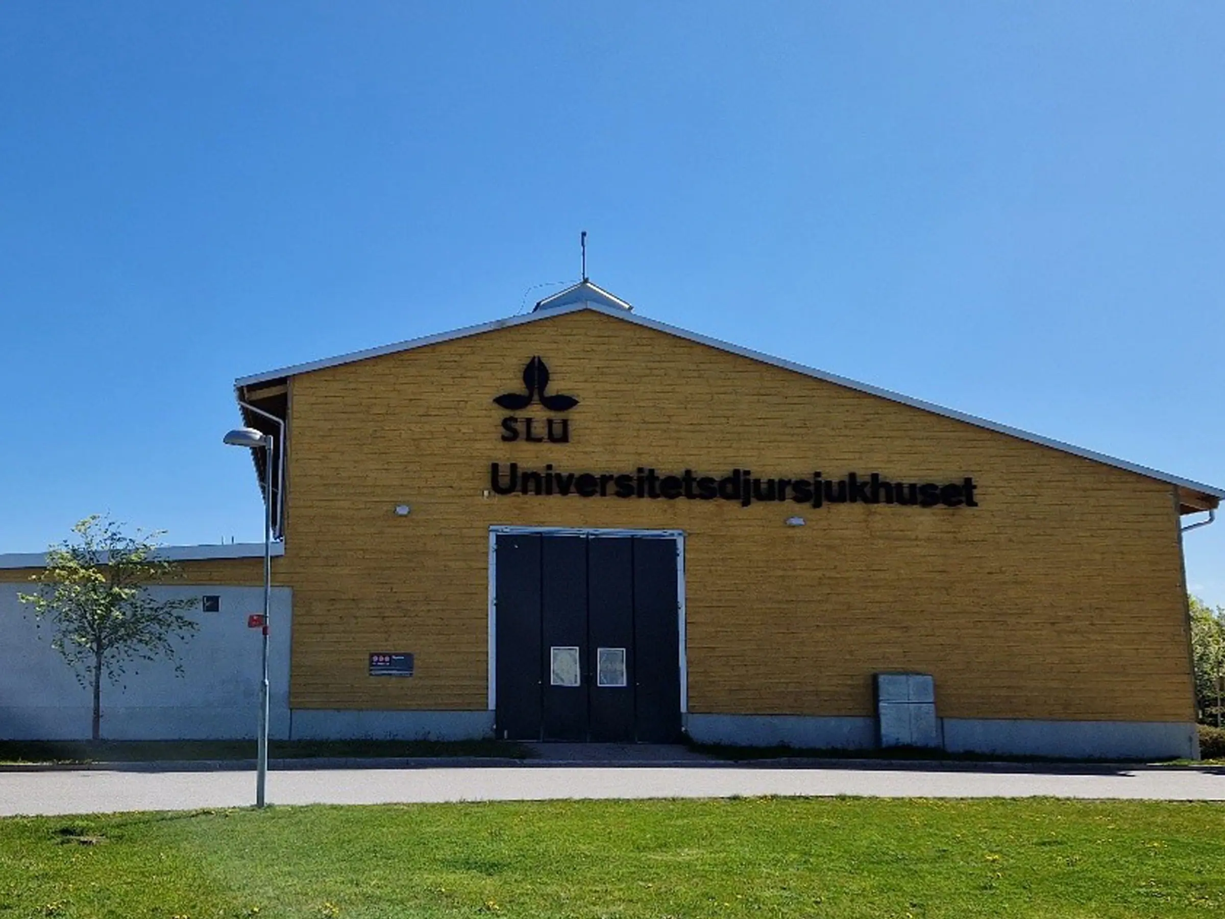 Veterinärchef till Universitetsdjursjukhuset, UDS