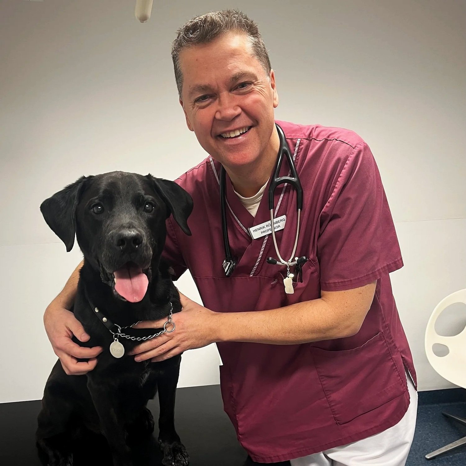 Cancer på smådjurskliniken – vad vårdteamet behöver veta