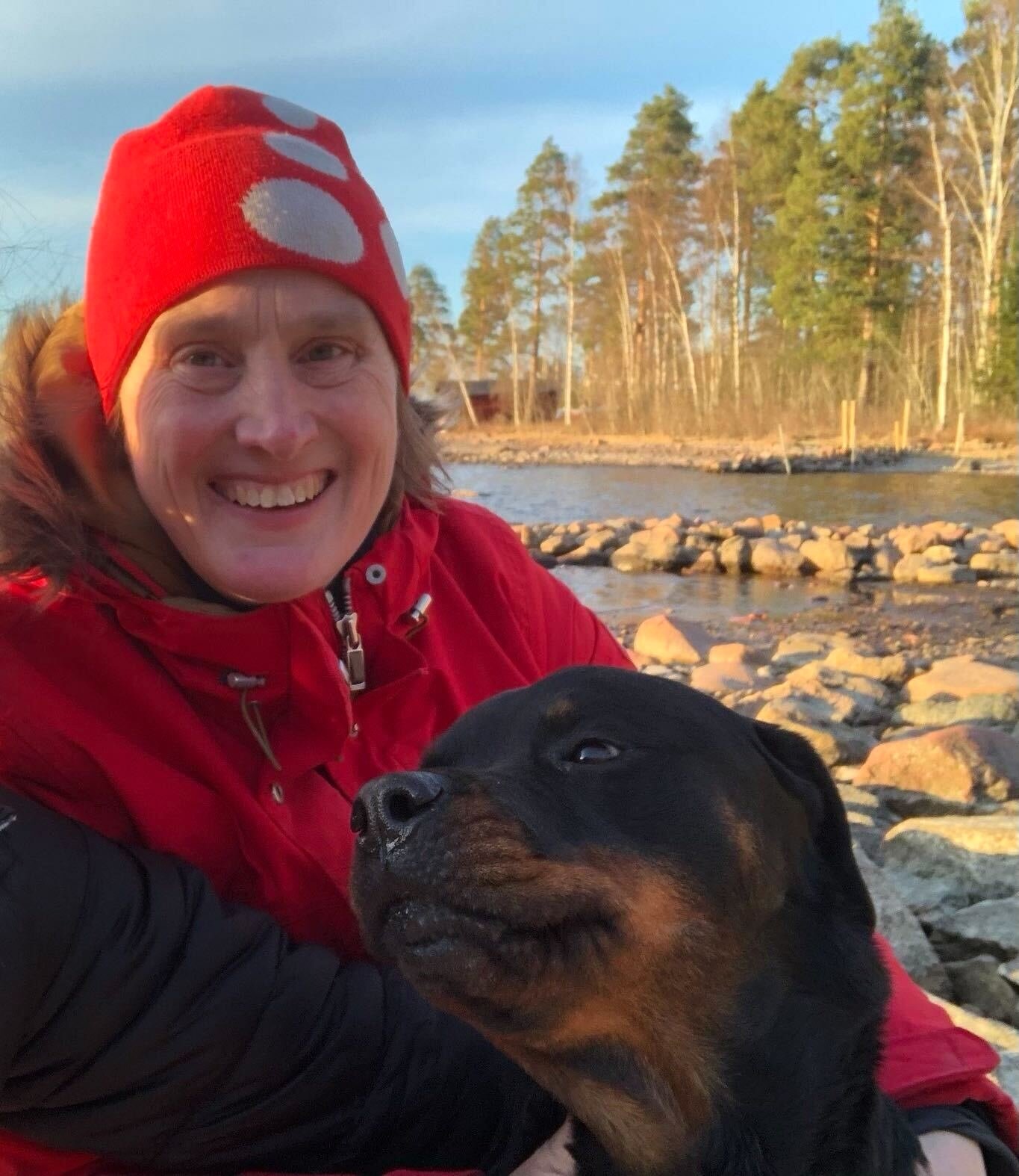 Feline chronic gingivostomatitis