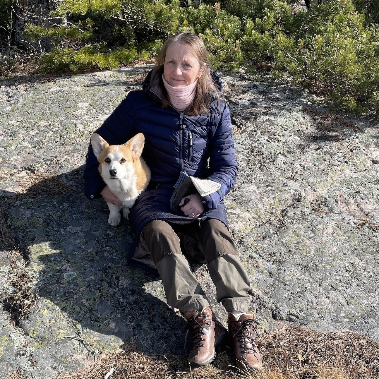 Föreläsning om dystoki - Del 2 av 2