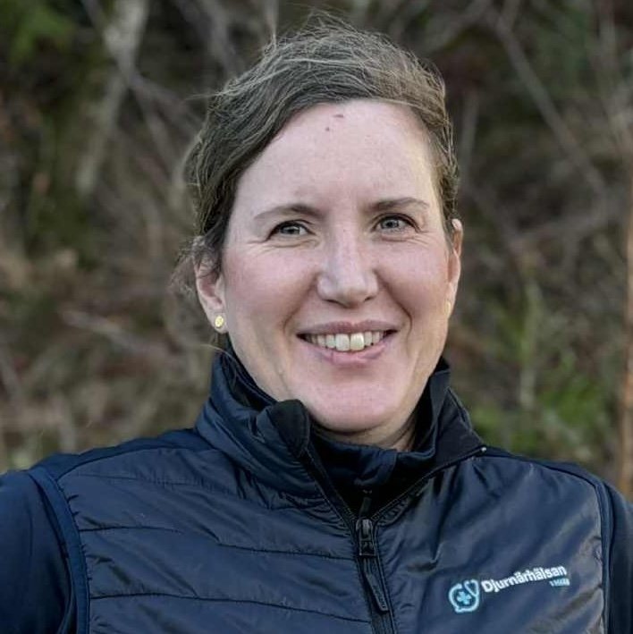 Verksamhet under utveckling - din arbetsgrupp är din största resurs